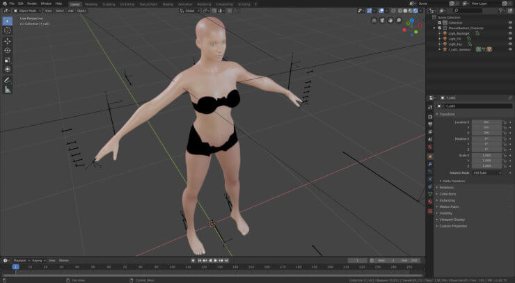 Human Model Creation With A Rig For Later Work In Blender