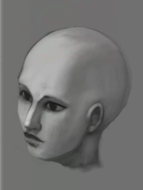 Итоговое черно-белое изображение головы человека